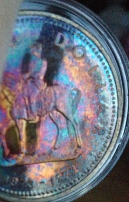 My-Rainbow-Toned-Beauties.